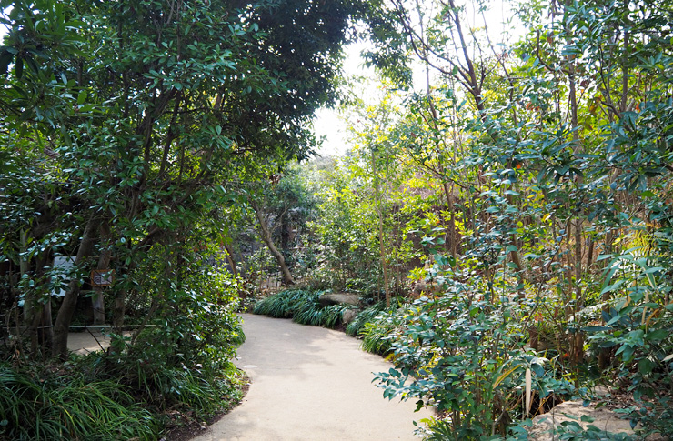 森に迷い込んだ様な園内