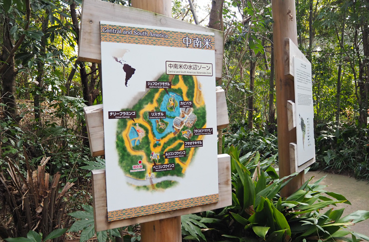 中南米の水辺ゾーン